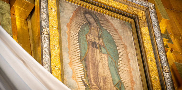 GOSPA OD GUADALUPE I SUZE KOJE MIRIŠU NA RUŽE